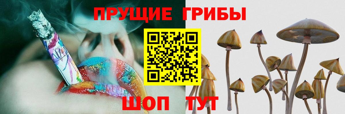 Галлюциногенные грибы GOLDEN TEACHER  Псилоцибиновые грибы Magic Shrooms  Карабулак  Вход с VPN 